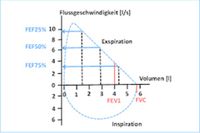 Lunge Test | Praxis Sedanstraße in Elze